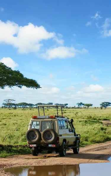 Safari vehicle driving on dirt road through African savanna with acacia tree and scattered clouds un