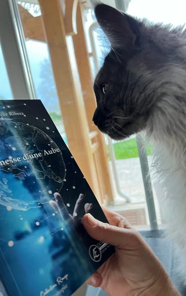 Photo du roman "Promesse d'une aube" avec un chat, de Véronqiue Ribera.