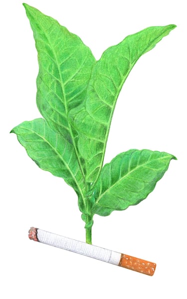 Nicotine illustration
