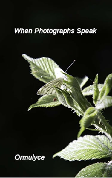 When Photographs Speak by Ormulyce