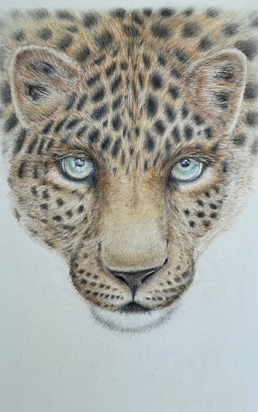 Leopard