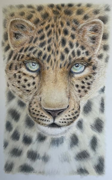 Leopard