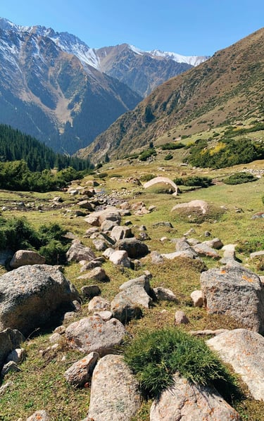 green grass field and brown mountain during daytime by Irina Shishkina