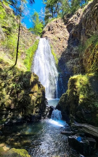 Waterfall Hwy, OR - Susan Creek Falls drops into a big pool, perfect to cool off in