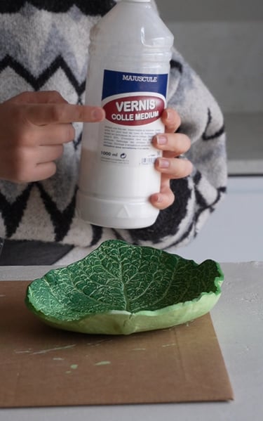 maison agave coupelle chou