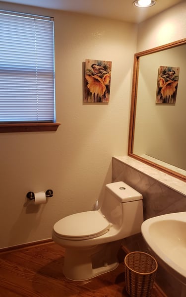 Modern bathroom interior featuring a white toilet, sink, large mirror, and bird artwork on the wall.