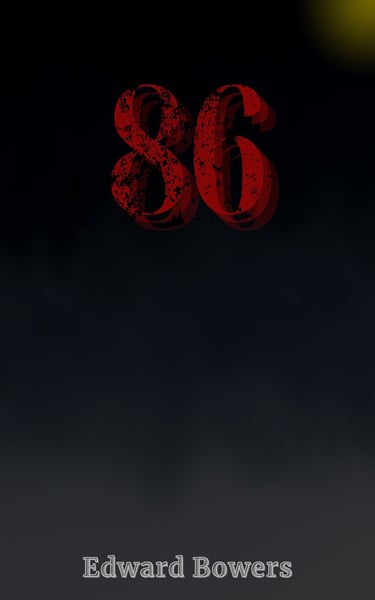 86 Book Cover