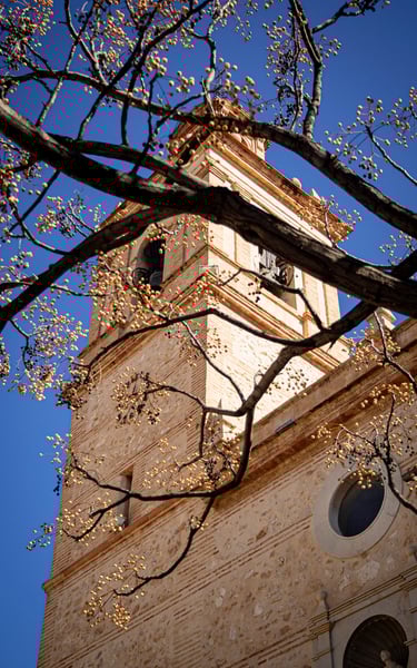 No clasificado 1 Color Febrero