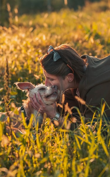 un dolce gesto affettuoso tra un cane bianco e la sua padrona in un prato