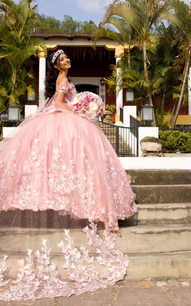 Mis Quince Servicio Princess