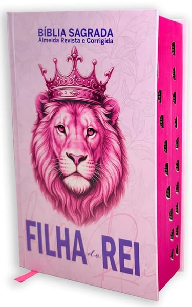 Bíblia feminina ARC luxo filha do Rei e letra gigante