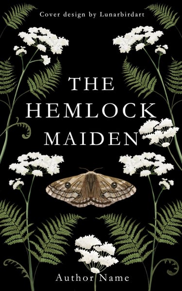fantasy book cover
