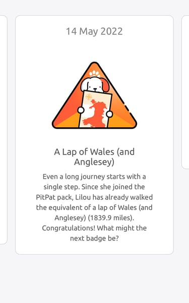 alt="PitPat app A lap of Wales badge unlocked"