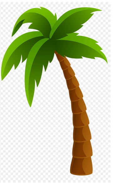 palm tree art