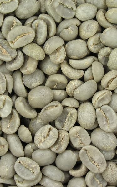 full wash arabica green bean