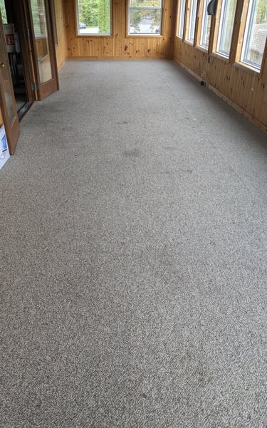 Carpet Before Cleaning