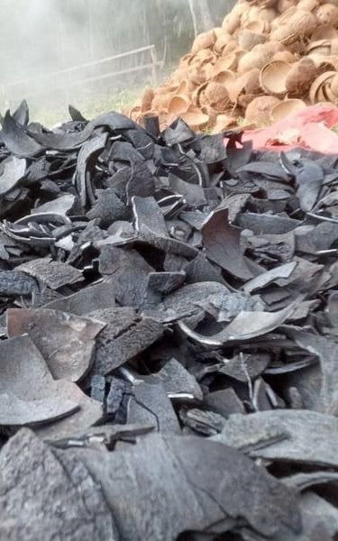 coconut shell charcoal