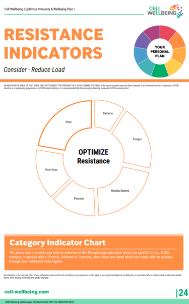 hair analysis sample page showing environmental factors on health