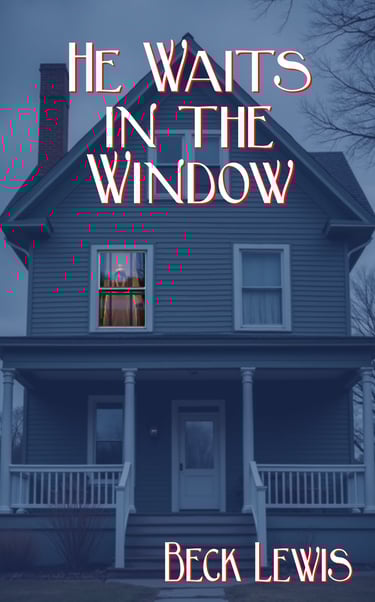 He waits in the window book cover