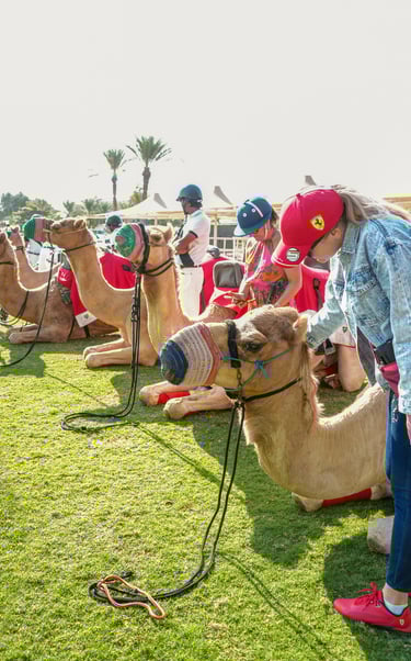 Book Corporate event photoshoot Today!