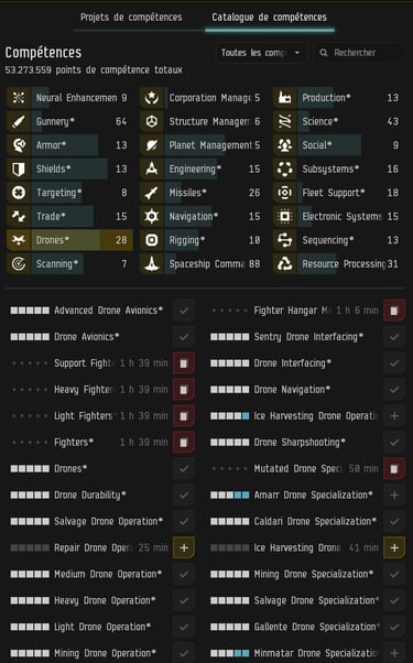 Jeu MMORPG Eve Online New Eden compétences skills
