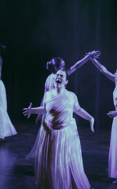 Festival de danza Ripollet