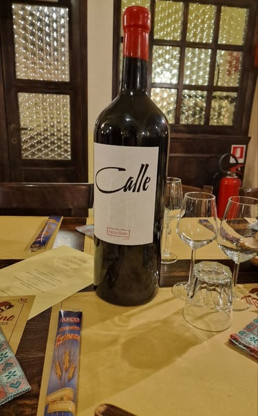 Merlot Veronese Fasoli Gino vino biologico vegan per carta vini