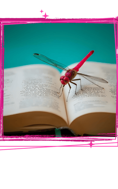 A dragonfly rests on a bible on the About page for KingdomCOMM