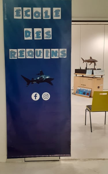 a poster board with a shark and a chair