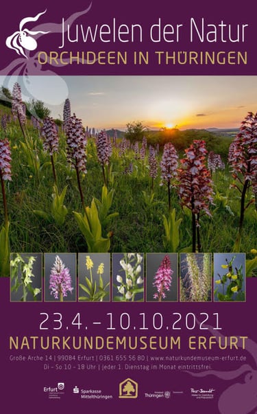 Ausstellungsplakat Orchideenausstellung am Naturkundemuseum von Sebastian Brandt