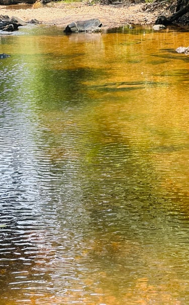 Atrações Rancho Famiglia Nonna