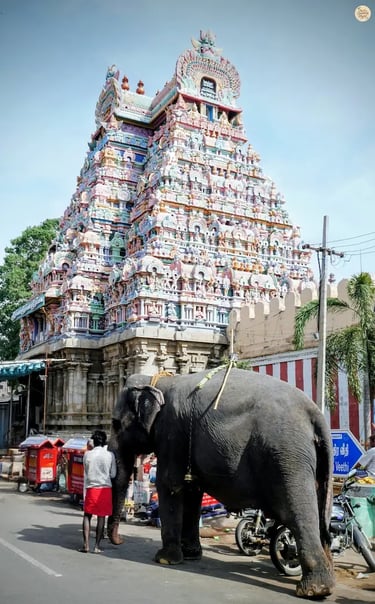 Sacred temple elephant at Sri Ranganathaswamy Temple, Srirangam, ready to bless devotees with its trunk.