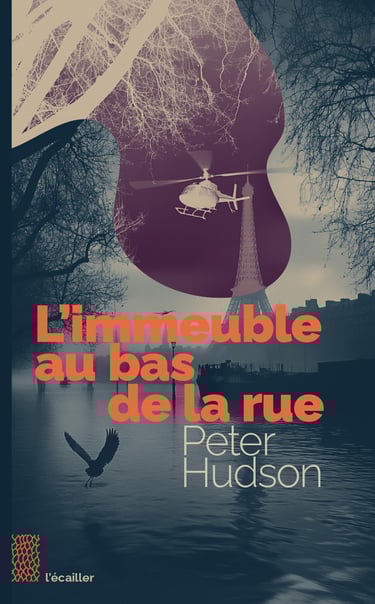 couverture du livre l'immeuble au bas de la rue par peter hudson