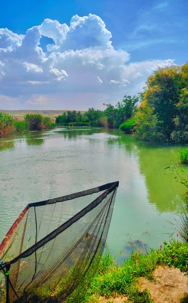 Bright river landscape with blue sky, white clouds, vivid green vegetation, and colorful water refle