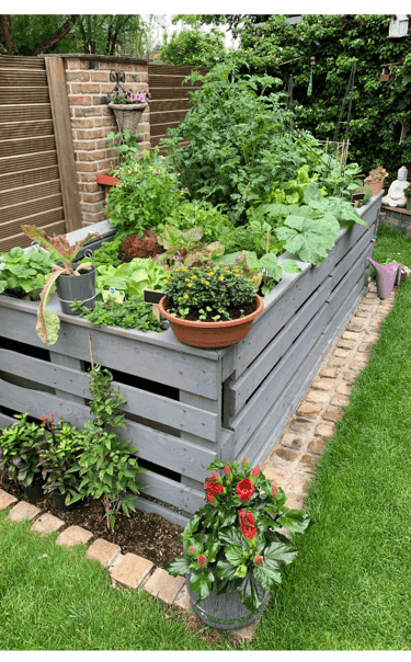 Permaculture Guilds