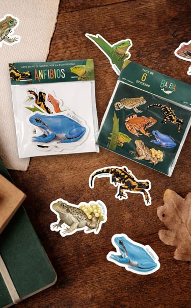 stickers anfibios ranas pack de 6