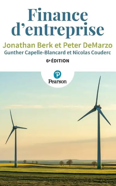 l'ensemble des décisions financières que doit prendre une entreprise pour maximiser ses profits et réduire ses coûts