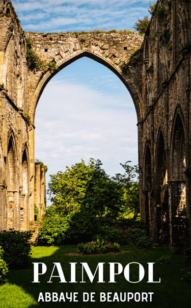 vidéaste cadreur monteur orléans
