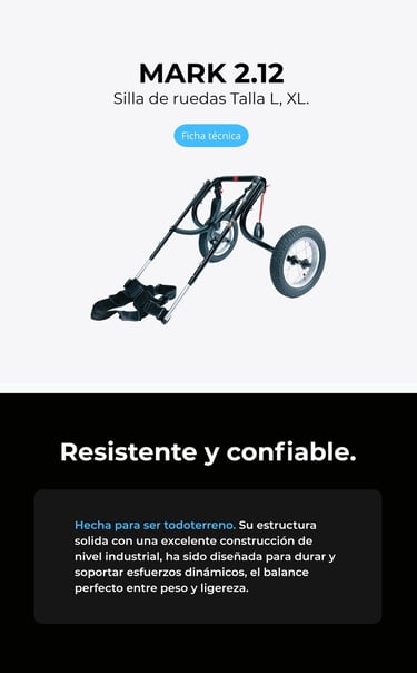 Perro con silla de ruedas ortopédica para perros, NUCLEUMPET Orthopedics en Bogotá Colombia.