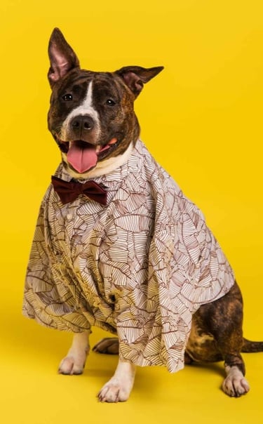 perro con una horeja levantada
