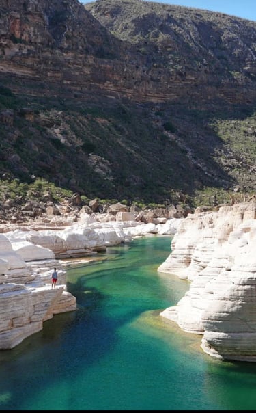 Socotra guide