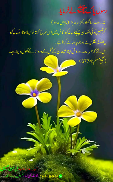 Hadith About taqdeer-Sahih Muslim 6774-Urdu Translation zahanatonline.com