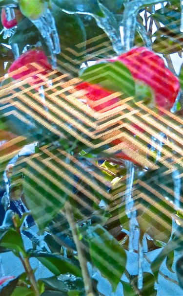 "4 Georg Schönfeld" © 2025 Heinz Lechner