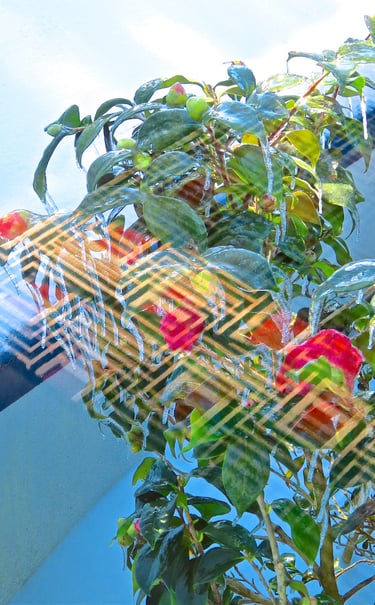 "4 Ronny Zuckermann" © 2025 Heinz Lechner