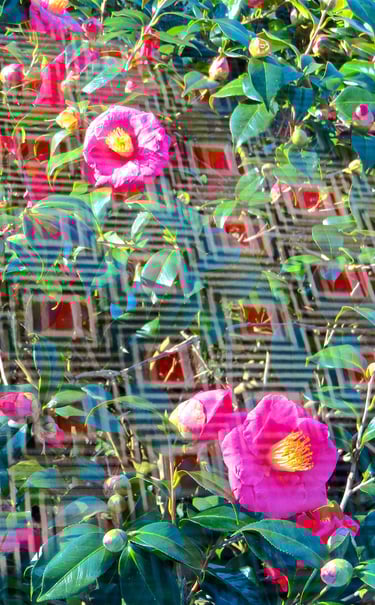 "4 Werner Rosenberger" © 2025 Heinz Lechner