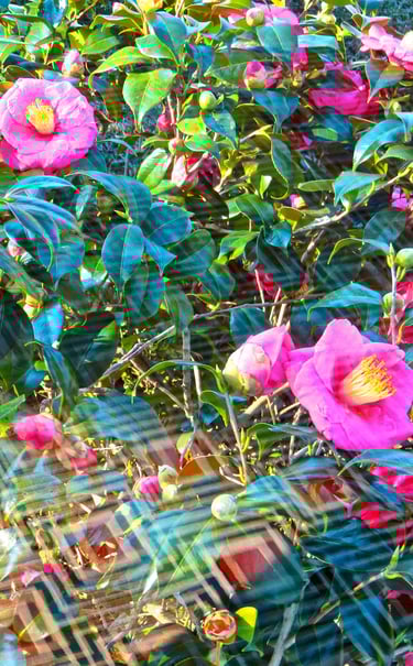 "4 Wolf Prix" © 2025 Heinz Lechner