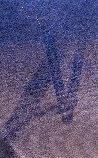 "Bo Diddley" © 2002 Heinz Lechner