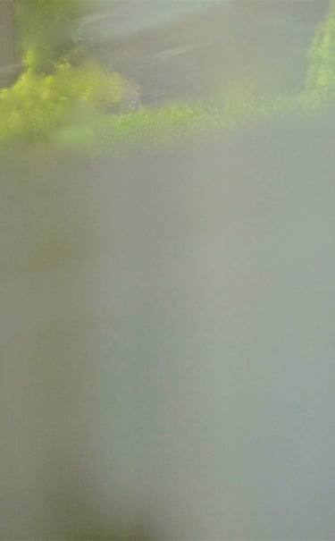 "Bob Marley" © 2014 Heinz Lechner