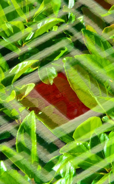 "Brian Burtnik" © 2024 Heinz Lechner