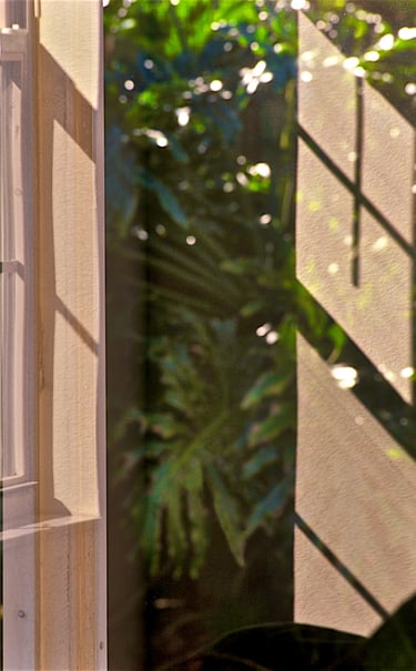 "Eric Burdon" © 1997 Heinz Lechner